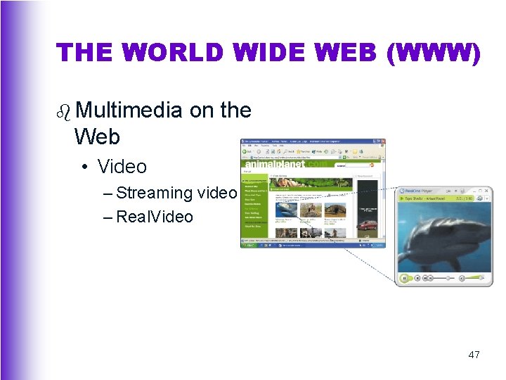 THE WORLD WIDE WEB (WWW) b Multimedia on the Web • Video – Streaming