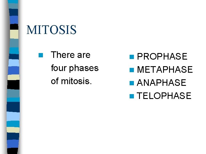 MITOSIS n There are n PROPHASE four phases of mitosis. n METAPHASE n ANAPHASE