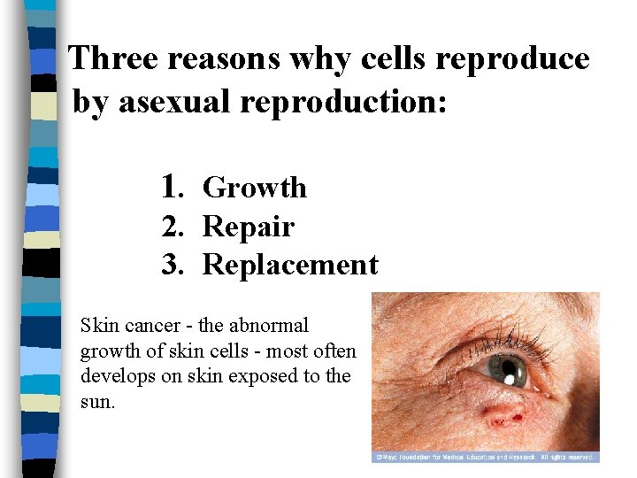 Three reasons why cells reproduce by asexual reproduction: 1. Growth 2. Repair 3. Replacement