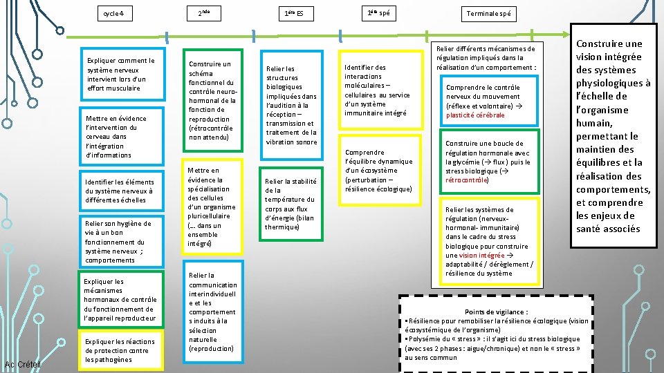 cycle 4 Expliquer comment le système nerveux intervient lors d’un effort musculaire Mettre en