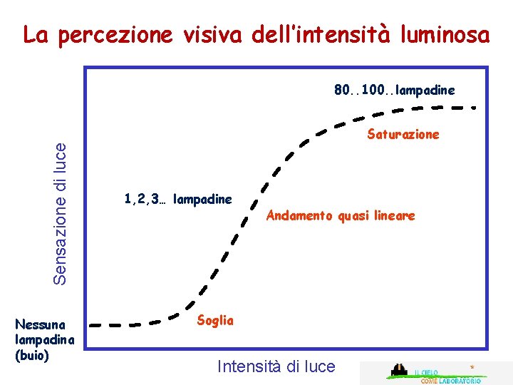 La percezione visiva dell’intensità luminosa 80. . 100. . lampadine Sensazione di luce Saturazione