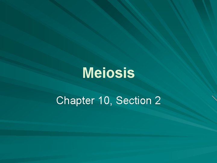 Meiosis Chapter 10, Section 2 