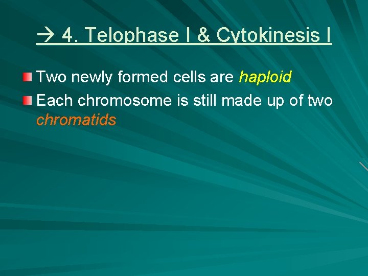  4. Telophase I & Cytokinesis I Two newly formed cells are haploid Each