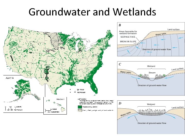 Groundwater and Wetlands 