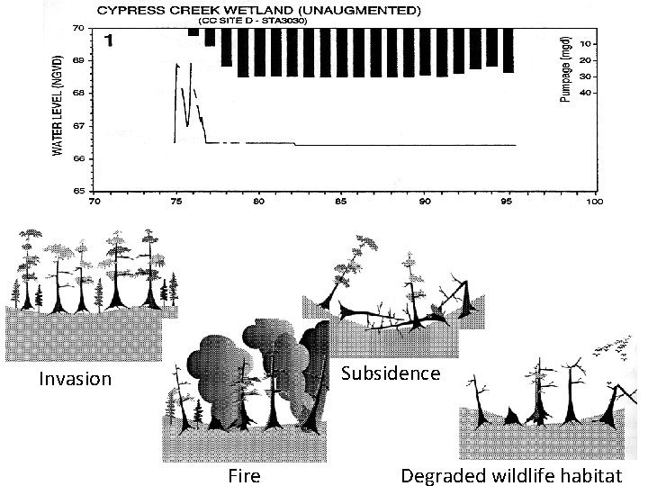 Subsidence Invasion Fire Degraded wildlife habitat 