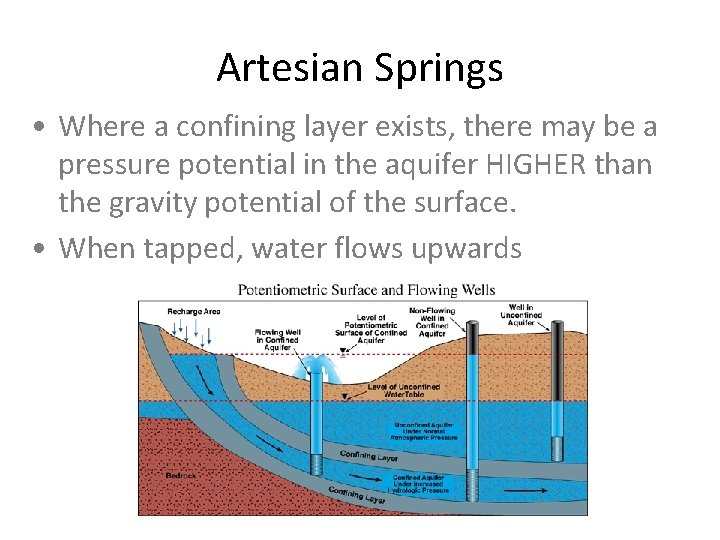 Artesian Springs • Where a confining layer exists, there may be a pressure potential