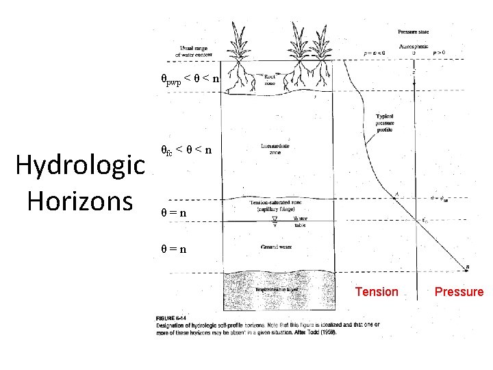 θpwp < θ < n Hydrologic Horizons θfc < θ < n θ=n Tension