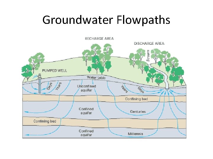 Groundwater Flowpaths 