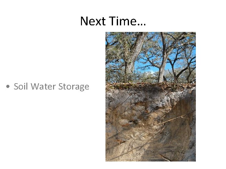 Next Time… • Soil Water Storage 