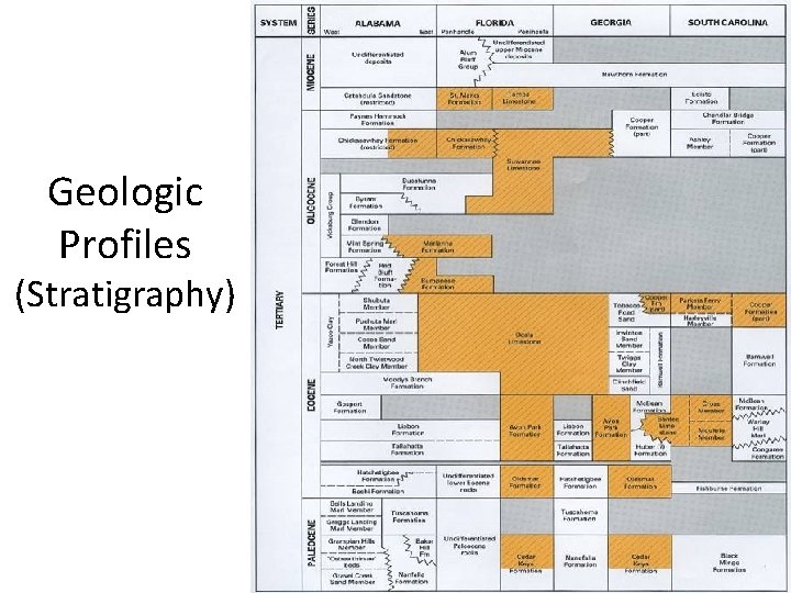 Geologic Profiles (Stratigraphy) 