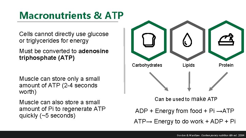 Macronutrients & ATP Cells cannot directly use glucose or triglycerides for energy Must be