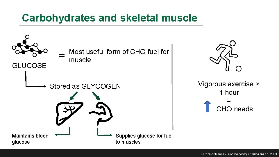 Carbohydrates and skeletal muscle = GLUCOSE Most useful form of CHO fuel for muscle
