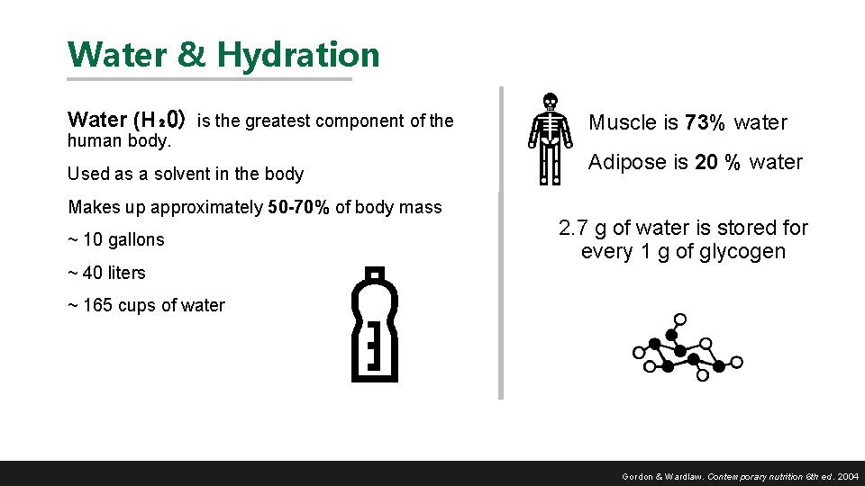 Water & Hydration Water (H₂O) is the greatest component of the human body. Used