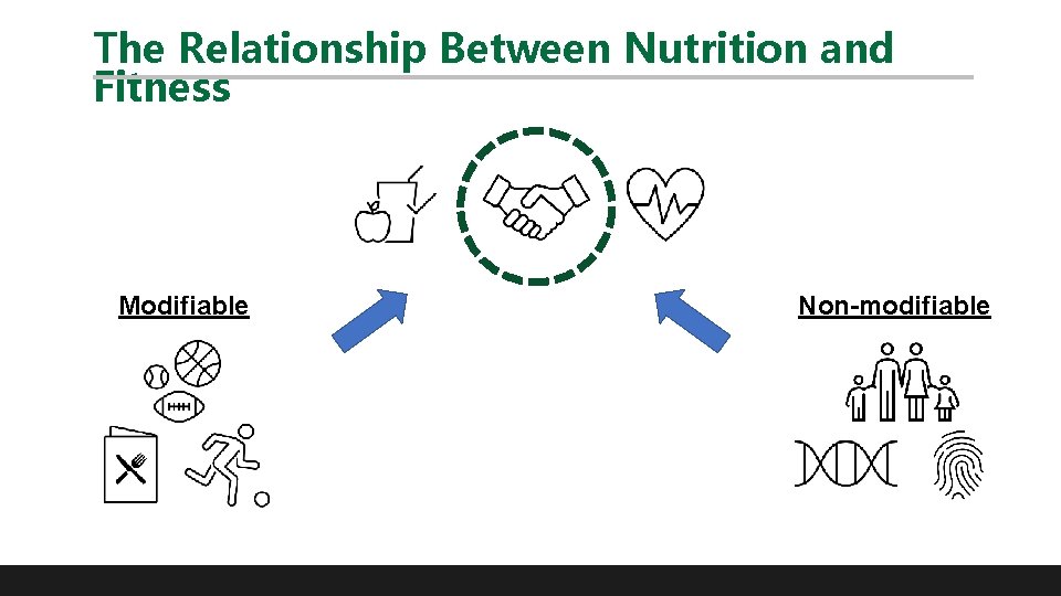 The Relationship Between Nutrition and Fitness Modifiable Non-modifiable 