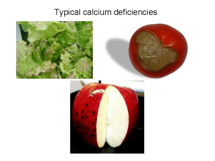 Typical calcium deficiencies 