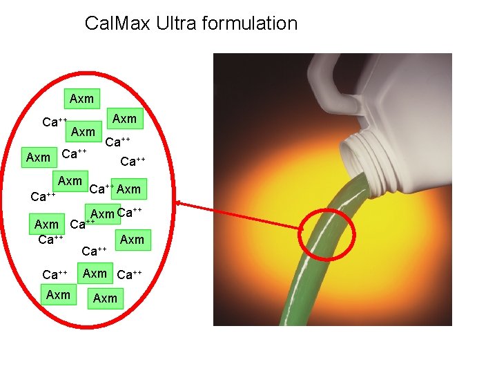 Cal. Max Ultra formulation Axm Ca++ Axm Ca++ Ca++ Axm Ca++ Axm Axm Ca++