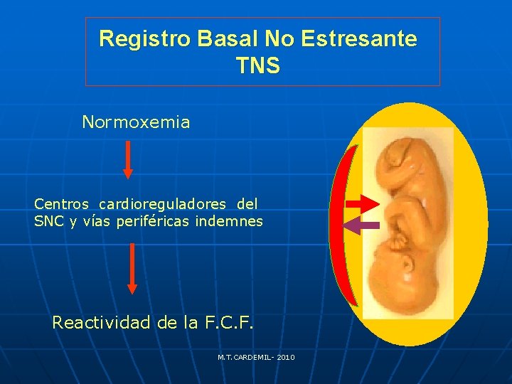 Registro Basal No Estresante TNS Normoxemia Centros cardioreguladores del SNC y vías periféricas indemnes