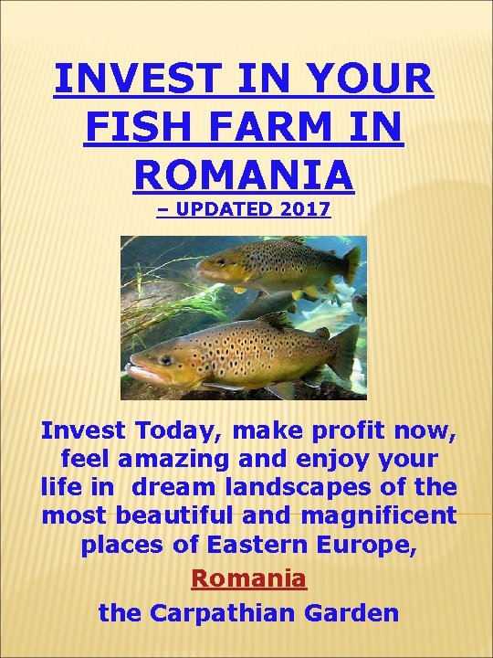 INVEST IN YOUR FISH FARM IN ROMANIA – UPDATED 2017 Invest Today, make profit