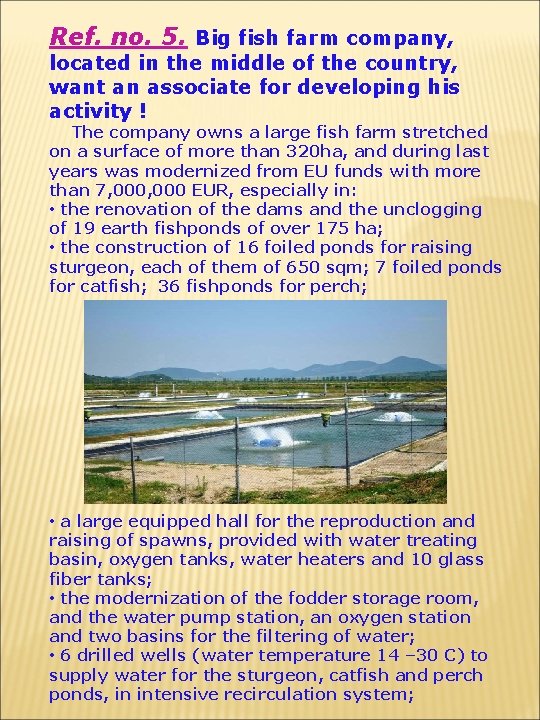 Ref. no. 5. Big fish farm company, located in the middle of the country,