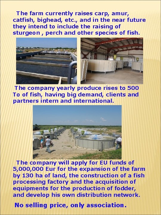  The farm currently raises carp, amur, catfish, bighead, etc. , and in the