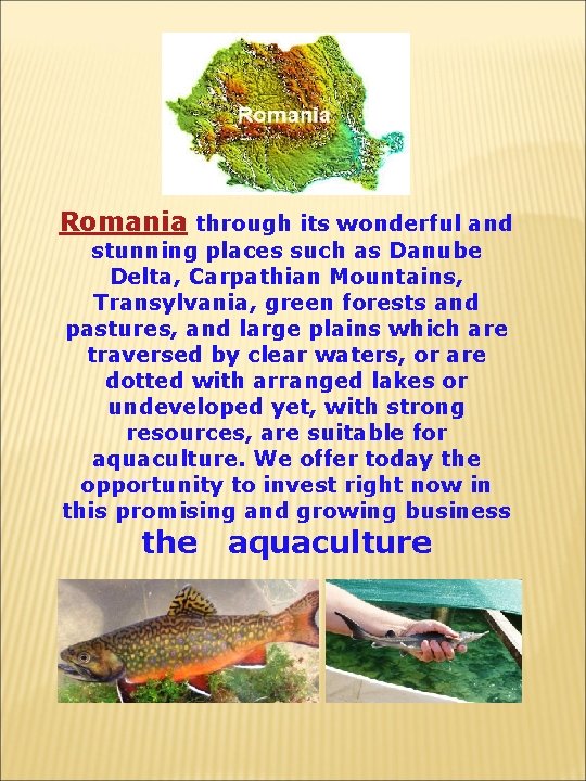  Romania through its wonderful and stunning places such as Danube Delta, Carpathian Mountains,