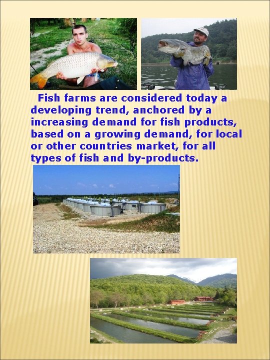 Fish farms are considered today a developing trend, anchored by a increasing demand