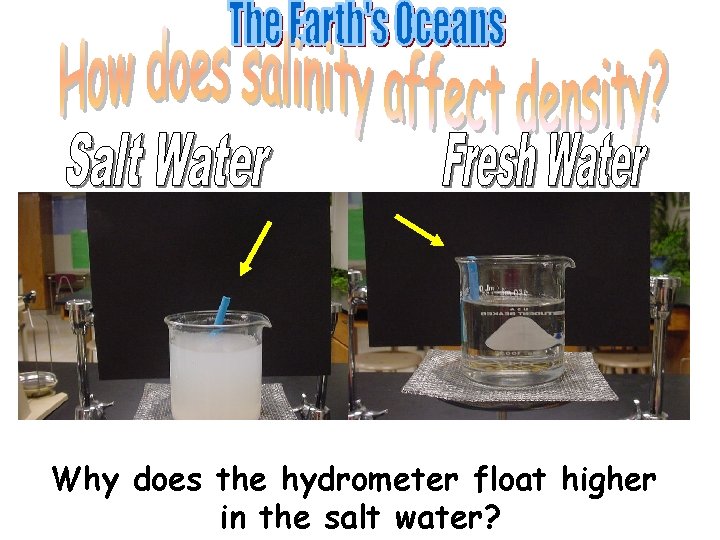 Why does the hydrometer float higher in the salt water? 