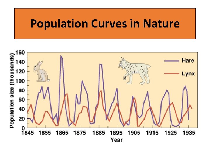 Population Curves in Nature 