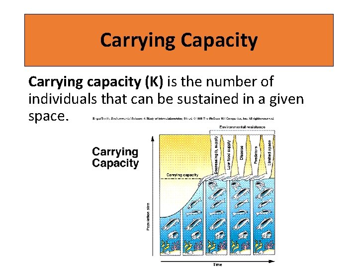 Carrying Capacity Carrying capacity (K) is the number of individuals that can be sustained