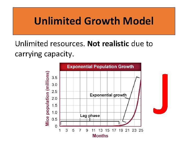 Unlimited Growth Model Unlimited resources. Not realistic due to carrying capacity. J 