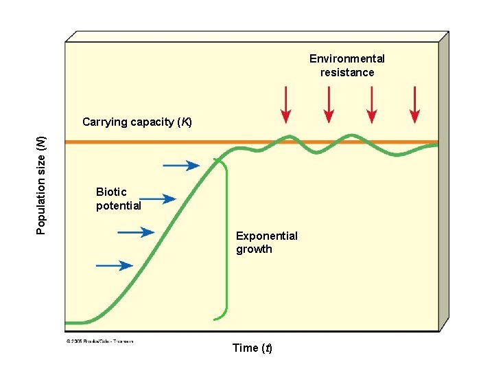 Environmental resistance Population size (N) Carrying capacity (K) Biotic potential Exponential growth Time (t)