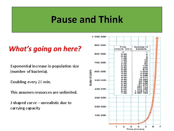 Pause and Think What’s going on here? Exponential increase in population size (number of