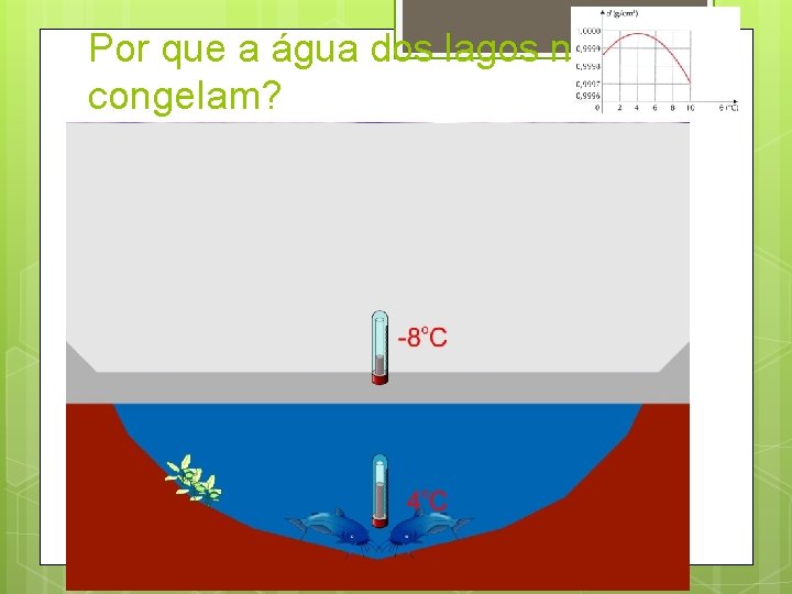 Por que a água dos lagos não congelam? 74 