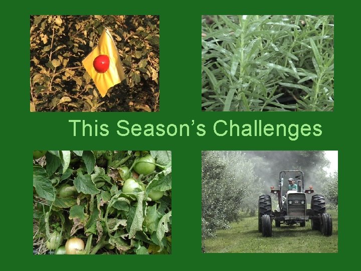 This Season’s Challenges This Season’s Challenges