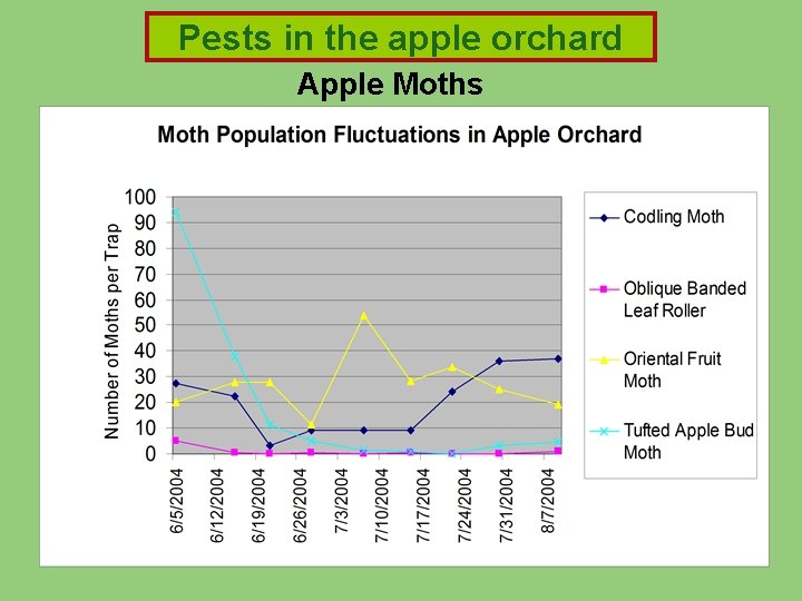 Pests in the appleorchard Pests in Apple Moths Pests in the appleorchard Pests in Apple Moths