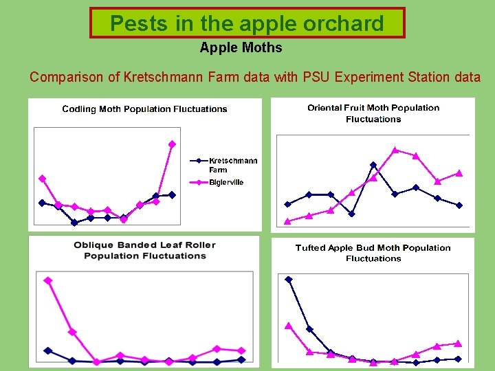 Pests in the apple orchard Apple Moths Comparison of Kretschmann Farm data with PSU Pests in the apple orchard Apple Moths Comparison of Kretschmann Farm data with PSU