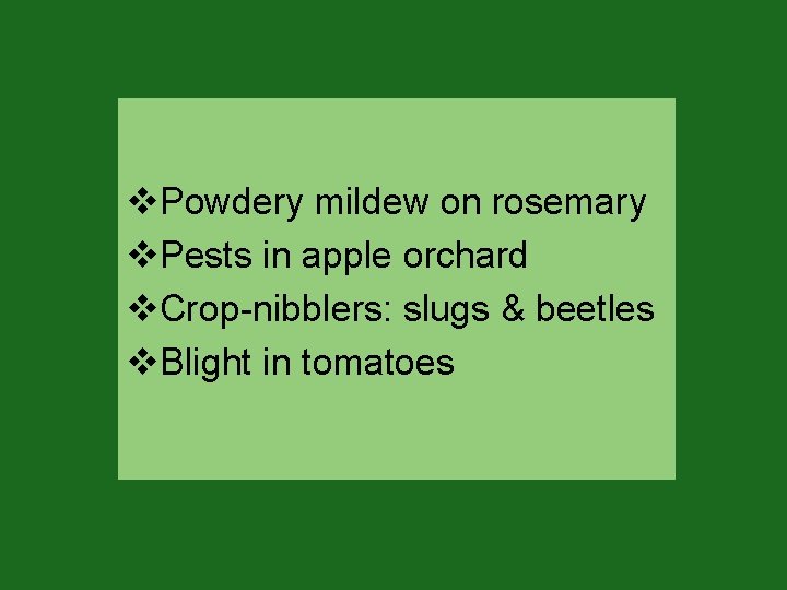 v. Powdery mildew on rosemary v. Pests in apple orchard v. Crop-nibblers: slugs & v. Powdery mildew on rosemary v. Pests in apple orchard v. Crop-nibblers: slugs &