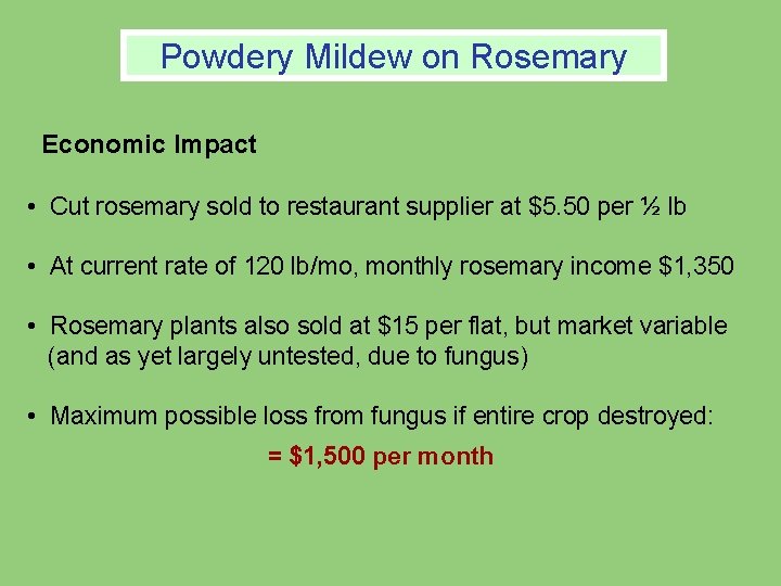 Powdery Mildew on Rosemary Economic Impact • Cut rosemary sold to restaurant supplier at Powdery Mildew on Rosemary Economic Impact • Cut rosemary sold to restaurant supplier at