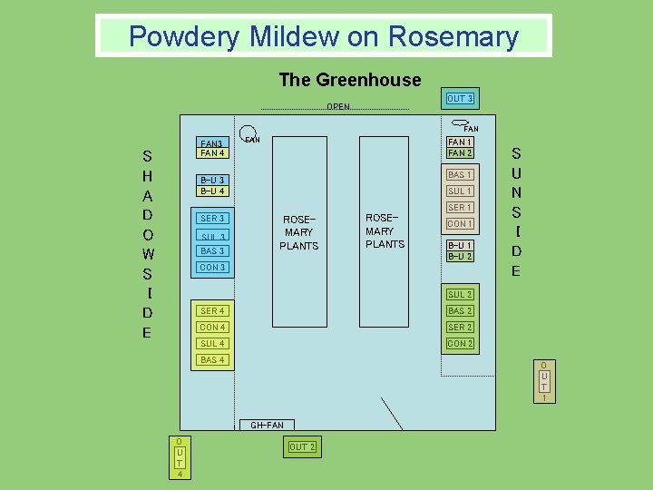 Powdery Mildew on Rosemary The Greenhouse OUT 3 OPEN FAN 3 FAN 4 S Powdery Mildew on Rosemary The Greenhouse OUT 3 OPEN FAN 3 FAN 4 S