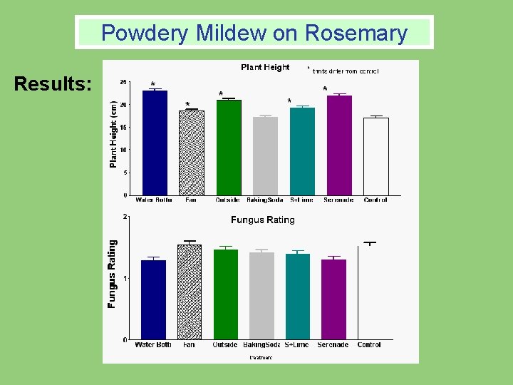 Powdery Mildew on Powdery on. Rosemary Results: Powdery Mildew on Powdery on. Rosemary Results: