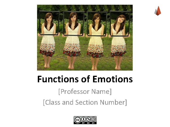 Functions of Emotions [Professor Name] [Class and Section Number] 