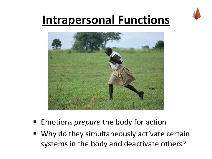 Intrapersonal Functions § Emotions prepare the body for action § Why do they simultaneously Intrapersonal Functions § Emotions prepare the body for action § Why do they simultaneously