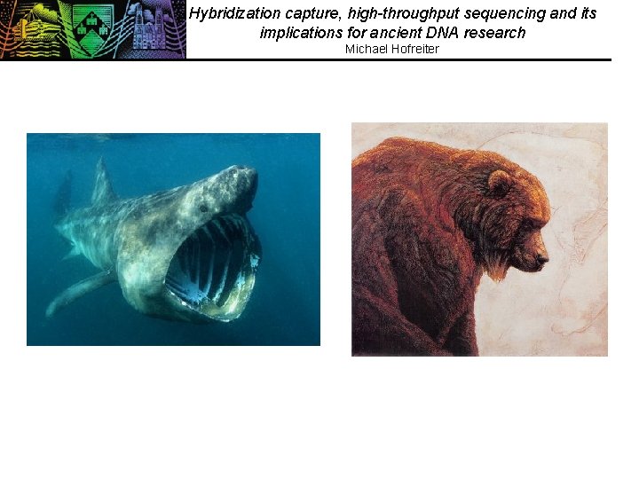 Hybridization capture, high-throughput sequencing and its implications for ancient DNA research Michael Hofreiter 