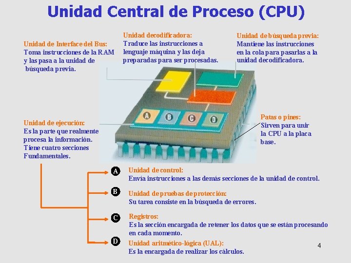 Unidad Central de Proceso (CPU) Unidad de Interface del Bus: Toma instrucciones de la