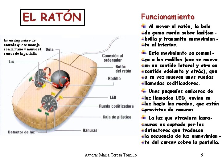 EL RATÓN Funcionamiento Al mover el ratón, la bola de goma rueda sobre laalfombrilla