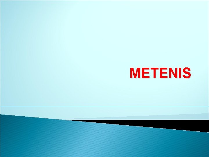 METENIS 