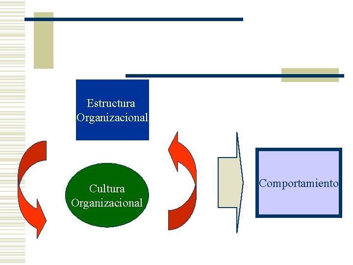 Estructura Organizacional Cultura Organizacional Comportamiento 