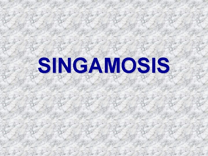 SINGAMOSIS 