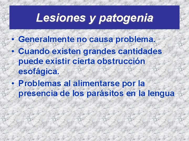 Lesiones y patogenia • Generalmente no causa problema. • Cuando existen grandes cantidades puede