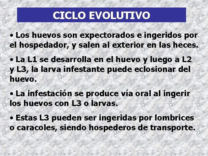 CICLO EVOLUTIVO • Los huevos son expectorados e ingeridos por el hospedador, y salen